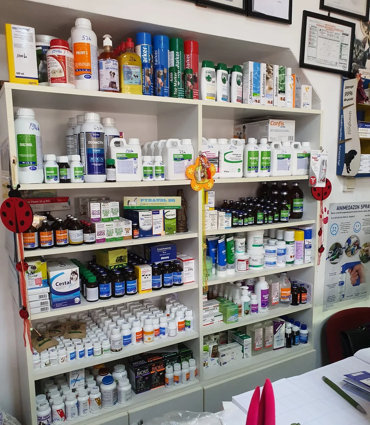 Rafturile farmaciei noastre veterinare