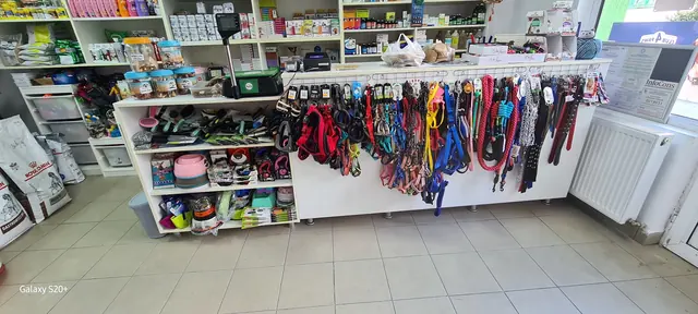 Peretele cu lese și zgărzi colorate din magazin