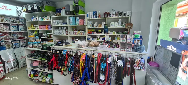 Interiorul petshopului nostru: rafturi cu hrană, lese și zgărzi colorate