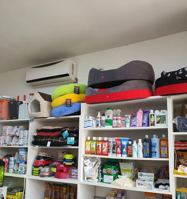 Paturi pentru câini și pisici și raft cu accesorii