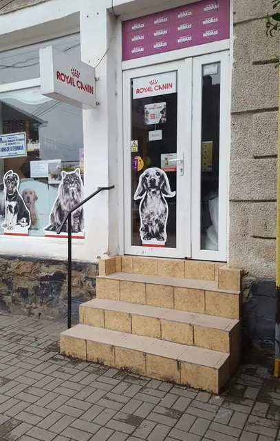 Ușa noastră, cu autocolante cu câini și pisici pe geam, și treptele de la intrare